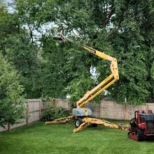 Best Tree Disease Treatment  in West Haven, UT